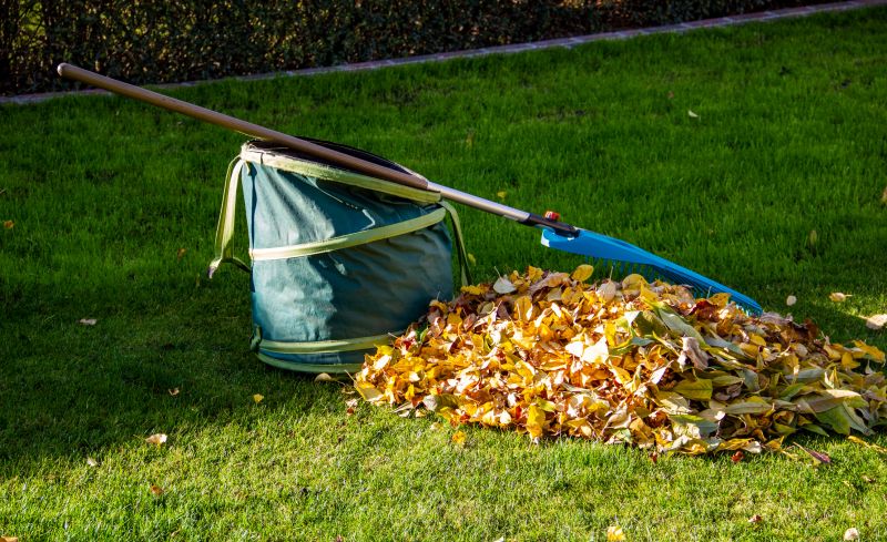 Leaf Disposal