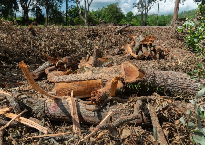 Clearing Debris