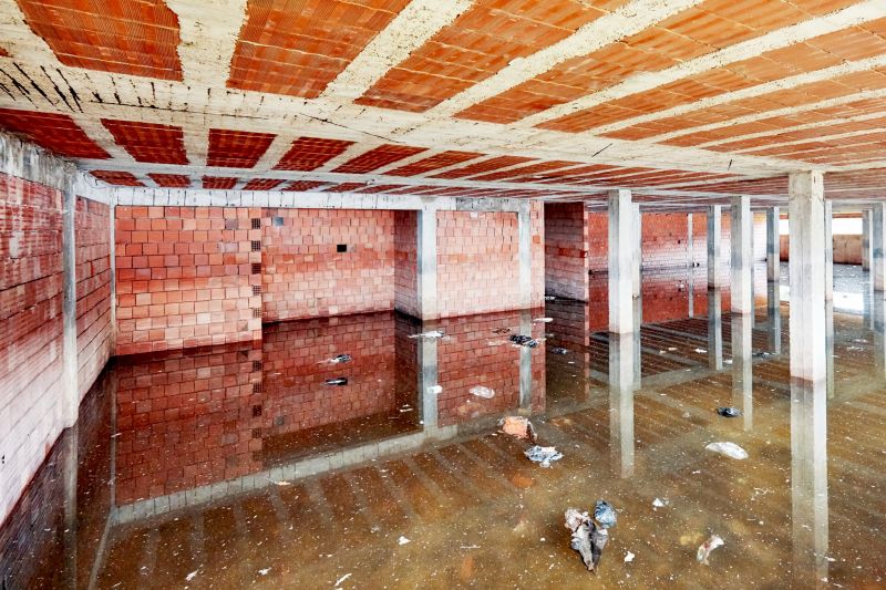 Crawl Space Water Remediation