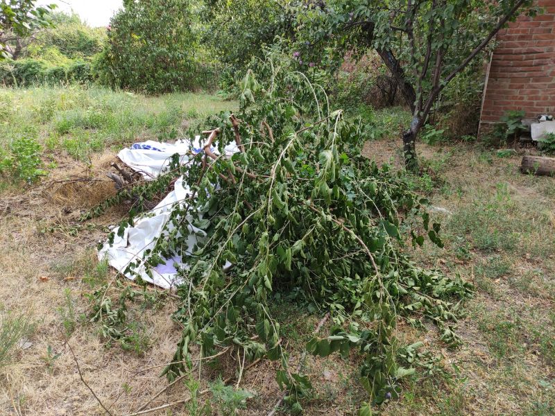 Disposal of Debris