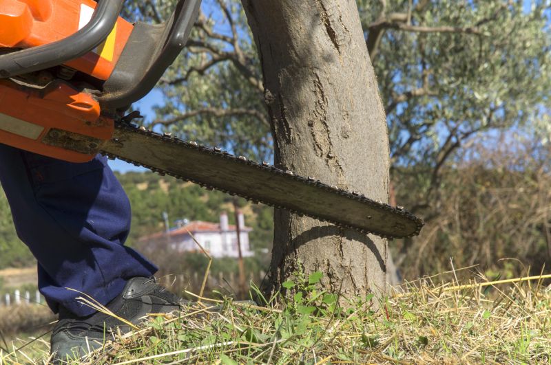 Tree Health Assessment